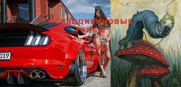 мет Богданович
