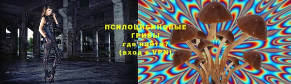 мет Богданович